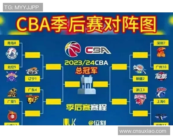 CBA辽宁队对阵深圳队精彩视频直播全程回顾与赛后分析