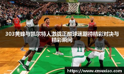 303黄蜂与凯尔特人激战正酣球迷期待精彩对决与精彩瞬间
