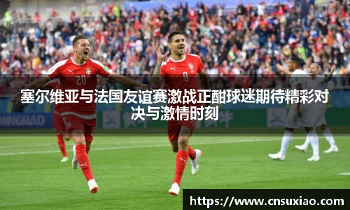 塞尔维亚与法国友谊赛激战正酣球迷期待精彩对决与激情时刻